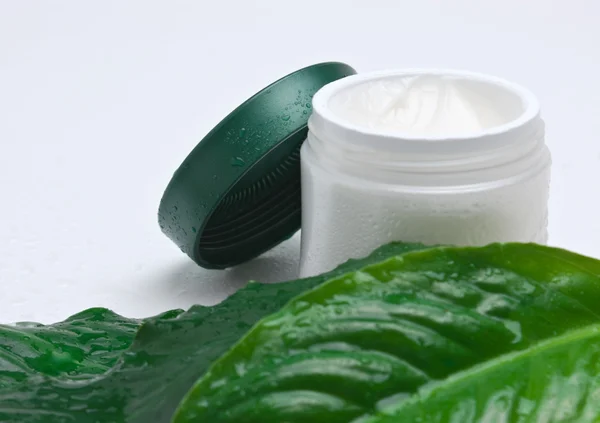Cosmetic cream and green wet leaf