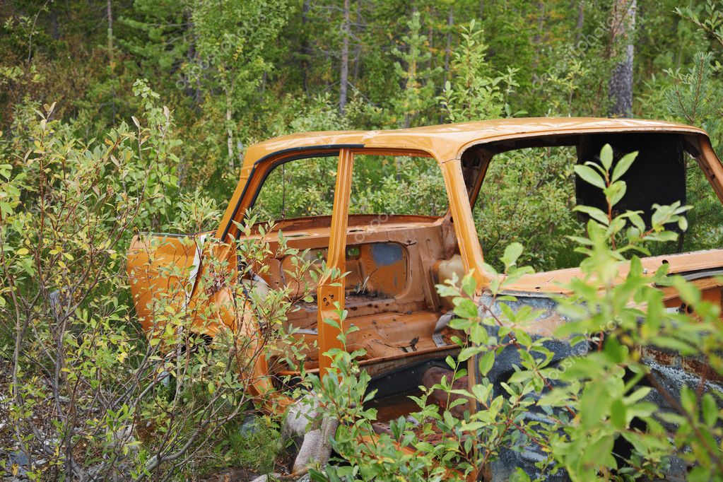 The rusty case of the old car thrown in wood