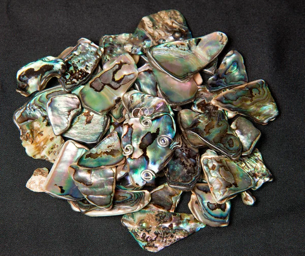 Pile of Paua shells — Stock Photo #3416758