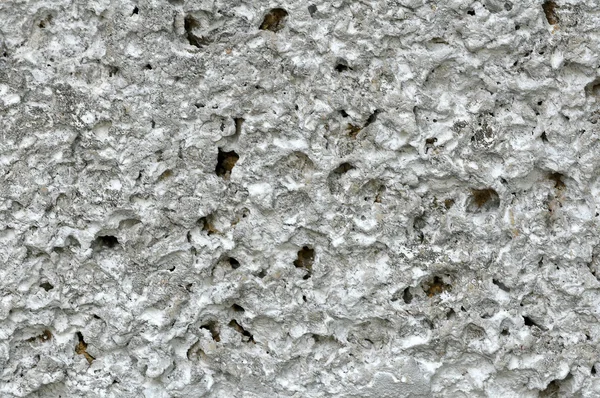 Concrete wall of the panel