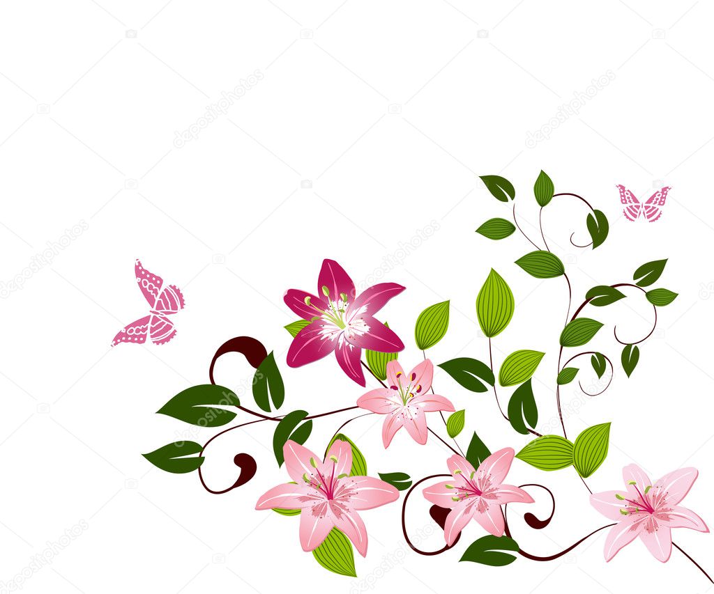 flower lilies