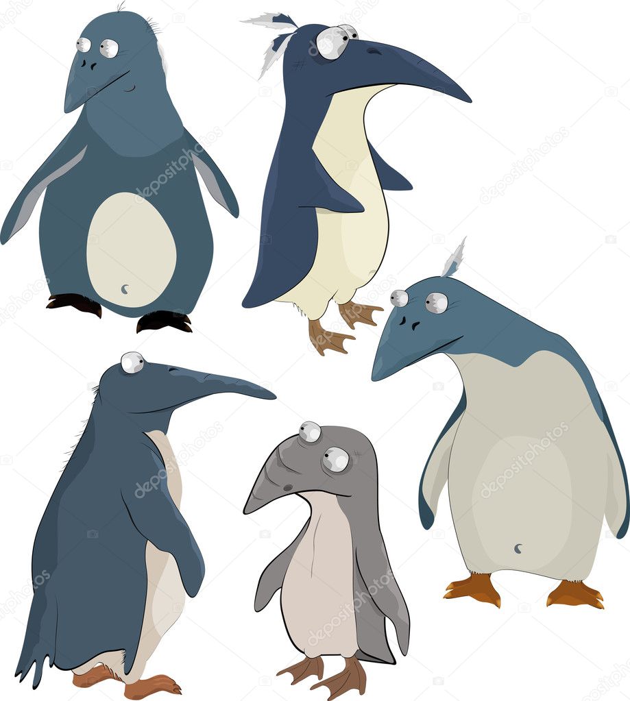 group of penguins