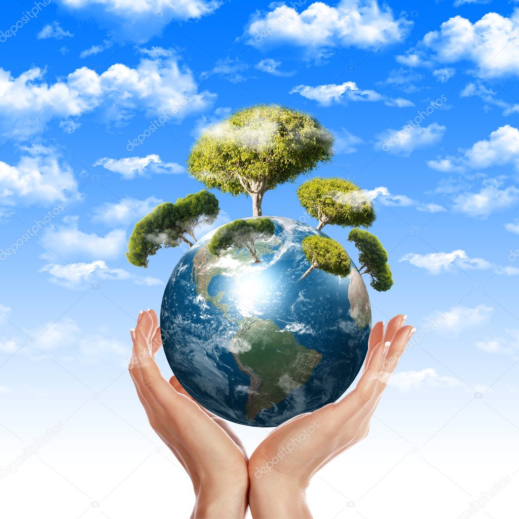 Essay About The Environment In French About Books Essay Essay About The Environment In French Essay Good Health also Thesis Statements For Argumentative Essays Animal Testing Essay Thesis