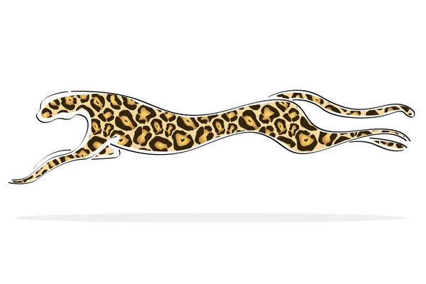 a leopard running