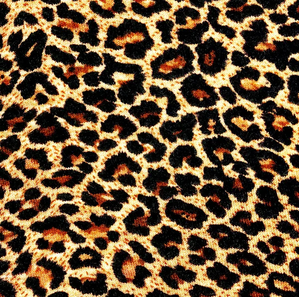 Leopard skin as background