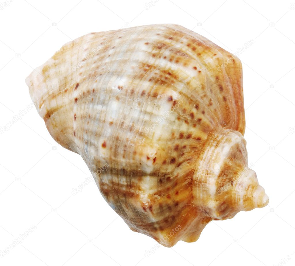 quand chuck rencontre larry telecharger