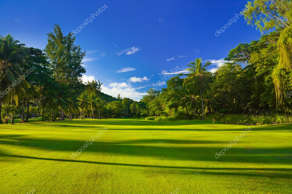 Golf Field