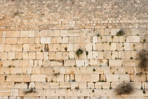 Wailing Wall (Western Wall) in Jerusalem texture