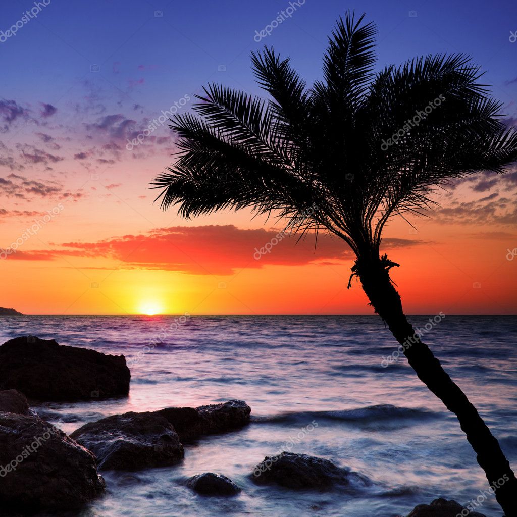 beautiful sunset beaches
