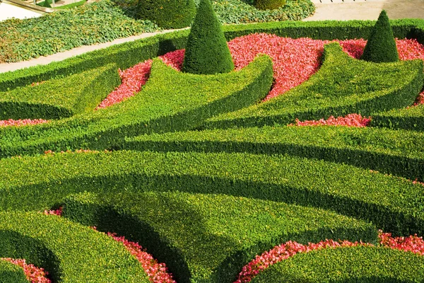 European garden maze