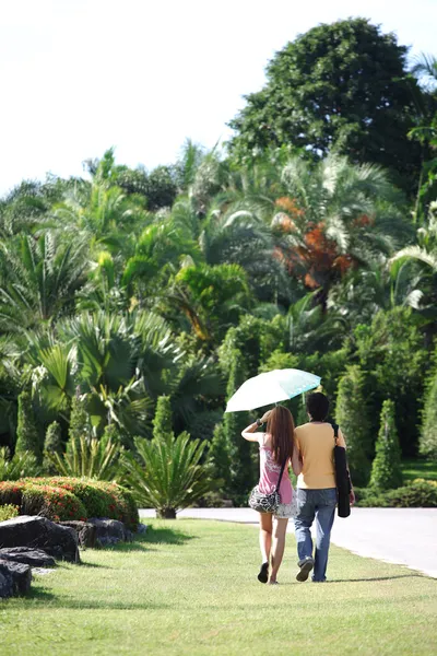 View of couple a back under umbrella wal