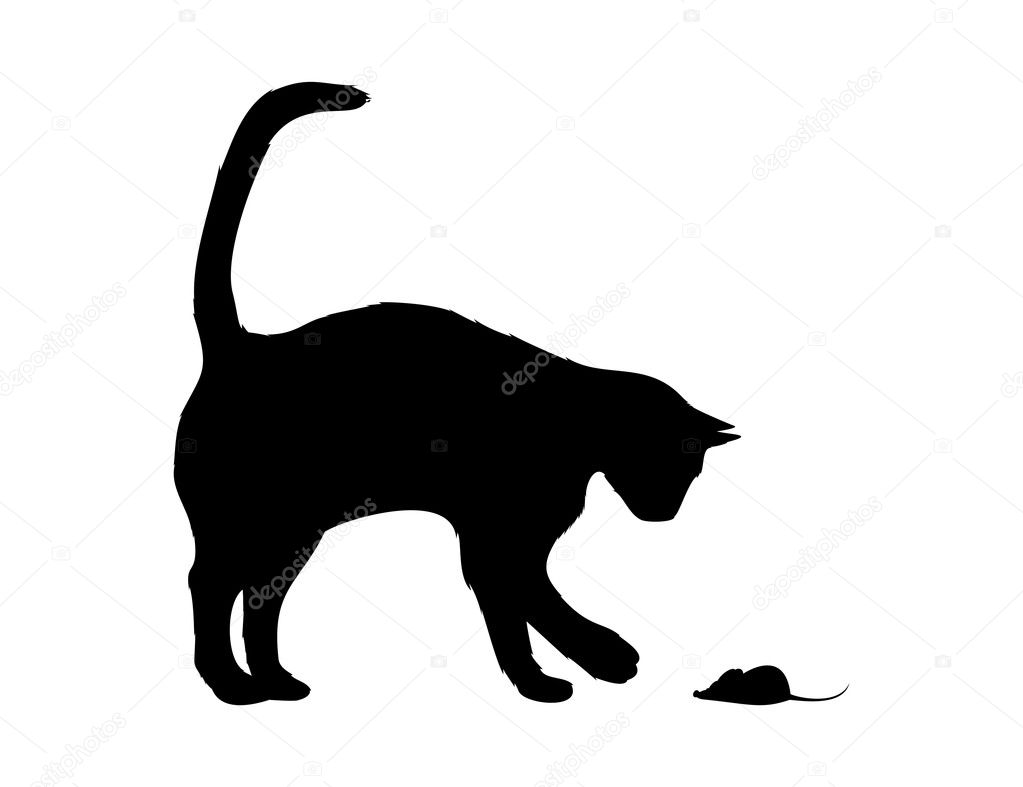 Cat Chasing Mouse