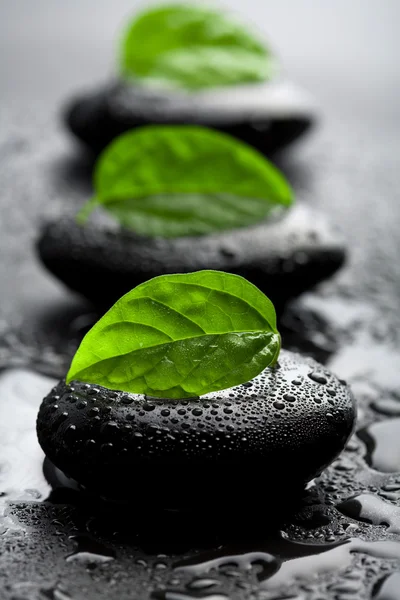 Zen stones and leaves with water drops