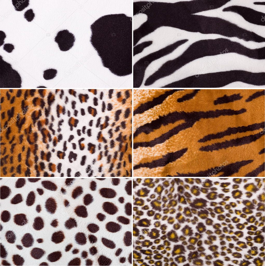 Animals Textures