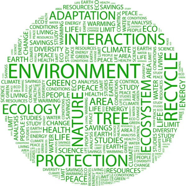 essay about environment protection and conservation