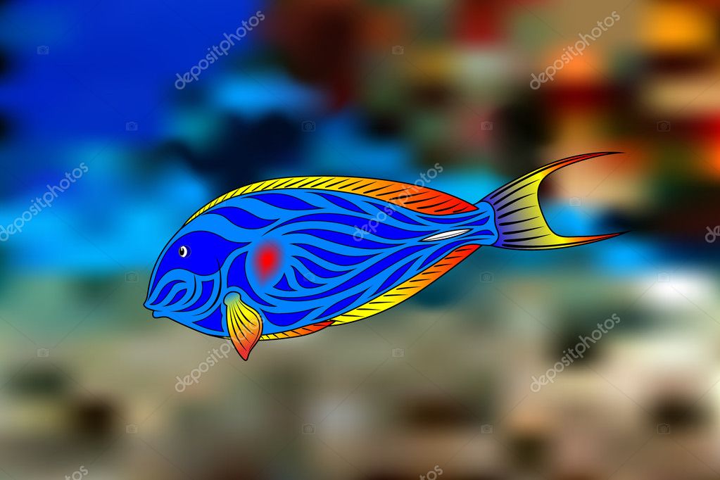 Colorful Fish Pictures