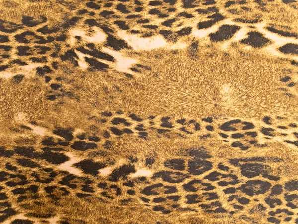 Leopard Background on Leopard Background   Stock Photo    Sergej Razvodovskij  2794472