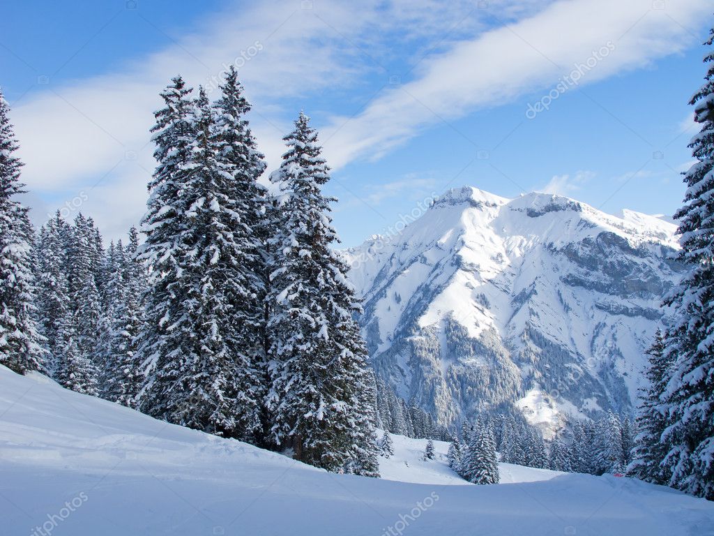 Swiss Alps Winter