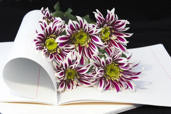 Opened notebook and flowers.