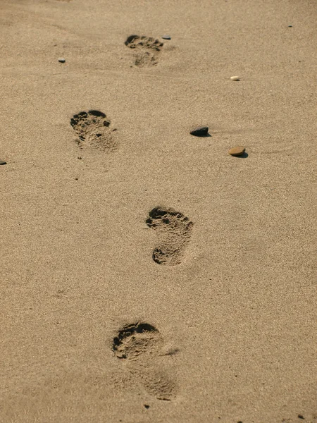 Set of footsteps on a beach sand