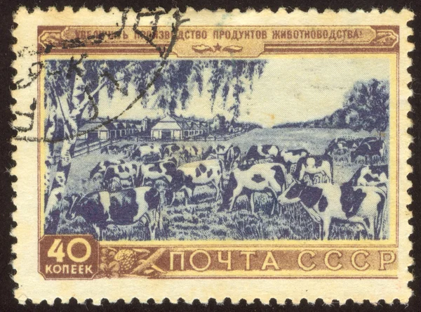 Vintage postage stamp set forty two
