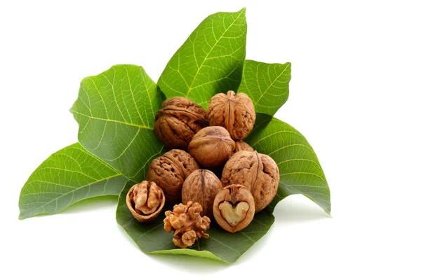 [Obrazek: dep_3740333-Autumn-fruits-walnut-on-green.jpg]