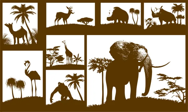 African animals collection (vector)