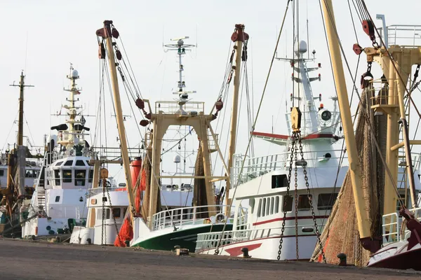 Fisher trawlers in harbor