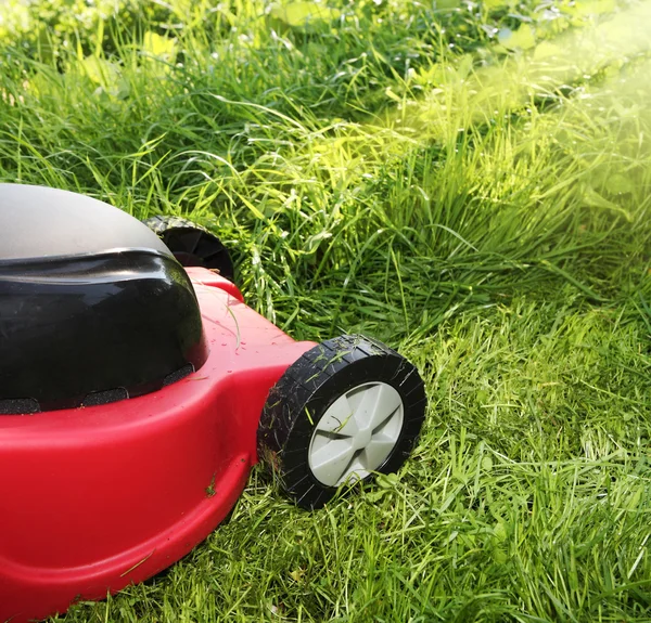 Lawnmower on green grass in sunny day