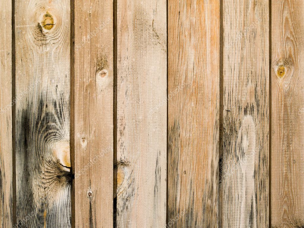 Fence Wooden