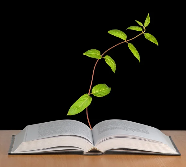 Vine growing from open book — Stock Photo © vaeenma 3457641