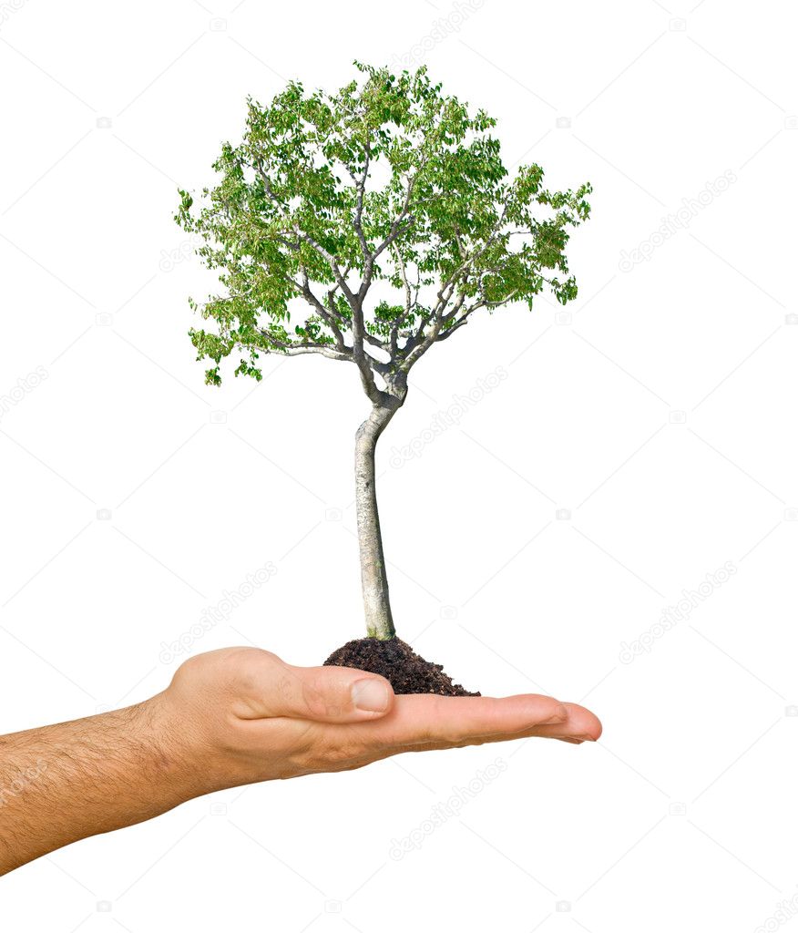 Hand On Tree