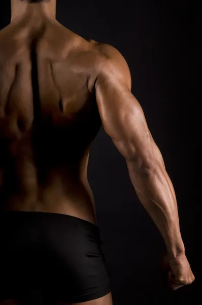 The male back.