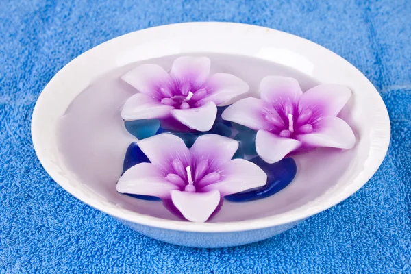 Flower candles in bowl of water