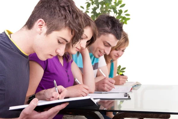Group of students studying