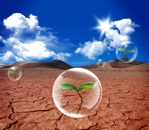 Water bubble in arid soil desert