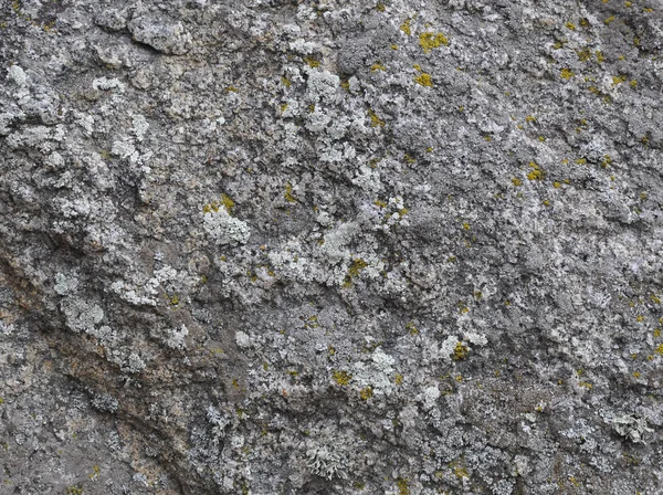 Granite stone with moss