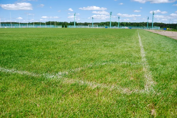 White marking on a football ground