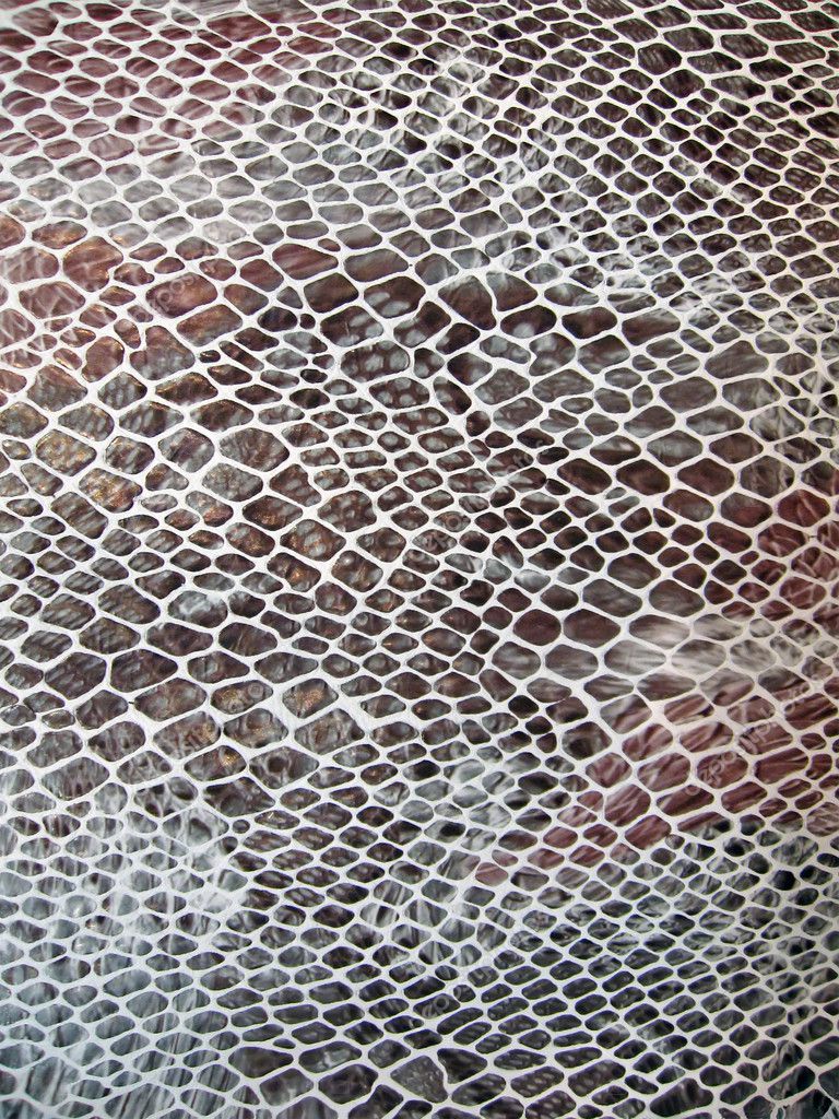 Closeup Snakeskin Texture, Red Leathern Skin Concept. — Stock Photo 