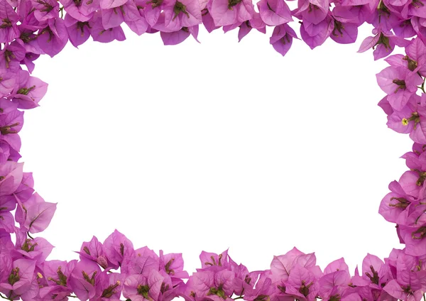 Flower Frame Images