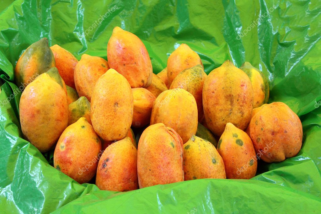 papaya paper papaya paper