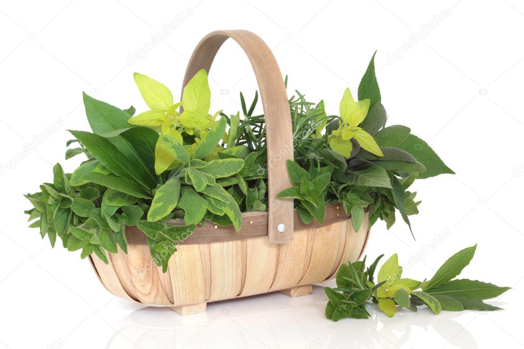 Herb Leaves