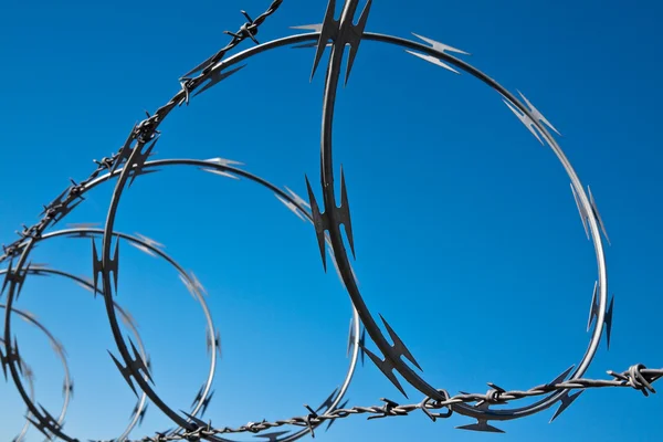 Barbed Wire Spiral