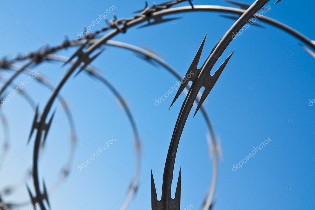 Barbed Wire Abstract