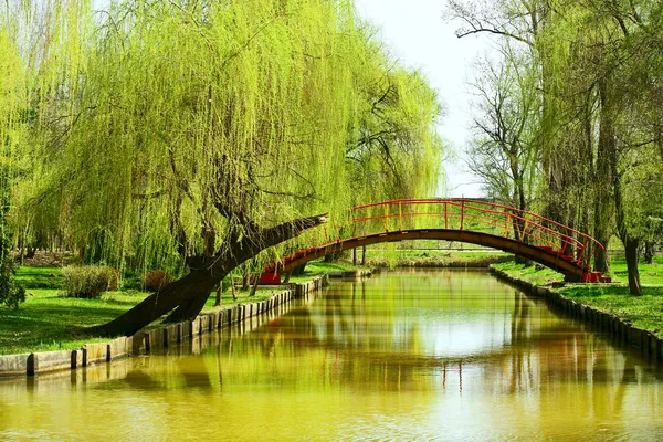 Bridge over water in park