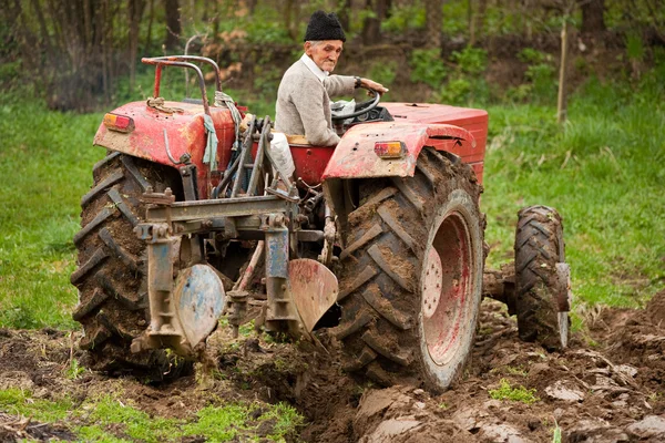 Old farmer plowing