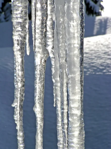 Melting icicles vertical