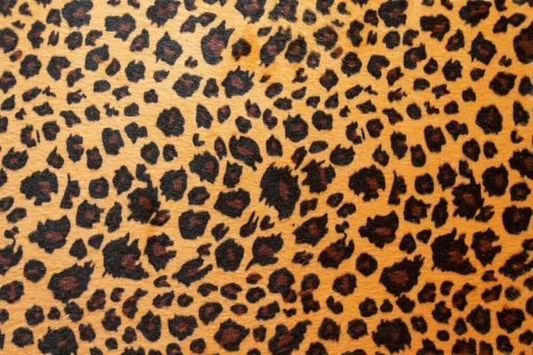 Jaguar hide