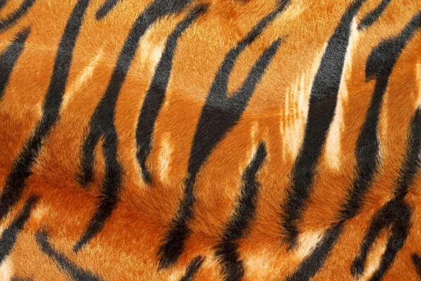 Tiger hide