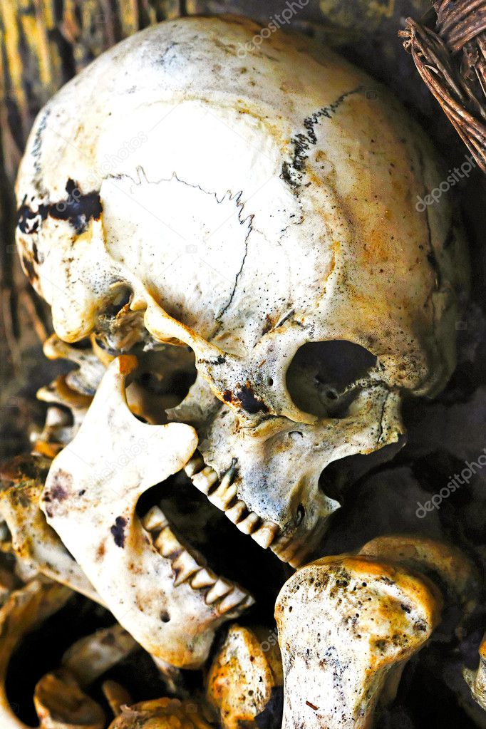 old human skeleton